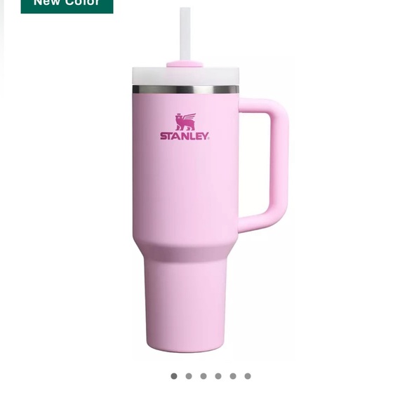 NWT STANLEY LISTING - live show listing for unlisted Stanley’s! - Picture 9 of 14